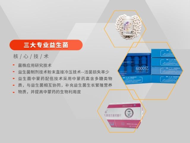 首页轮播