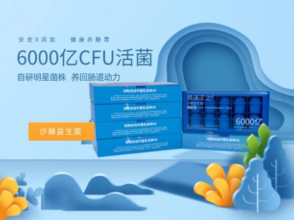 普泽沙棘益生菌 九联菌60粒/盒*6 共6盒