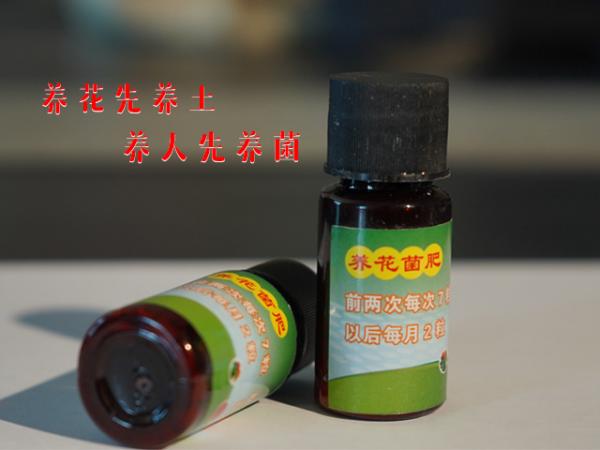 益生菌花肥-入会福利(仅限一单、自提)0.99元